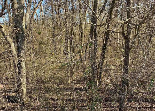 Property at 1.3 Acres County Road 460, Moulton, AL 35650
