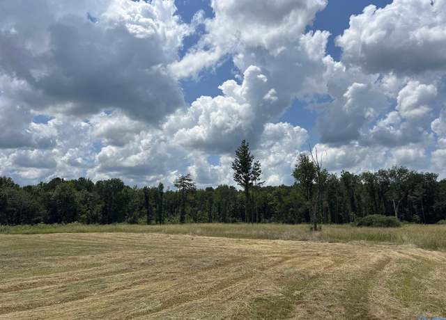 Property at 20 acres County Road 125, Moulton, AL 35650