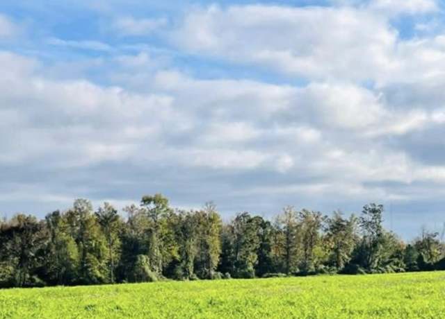 Property at 392 & 418 Scenic Dr, Section, AL 35771