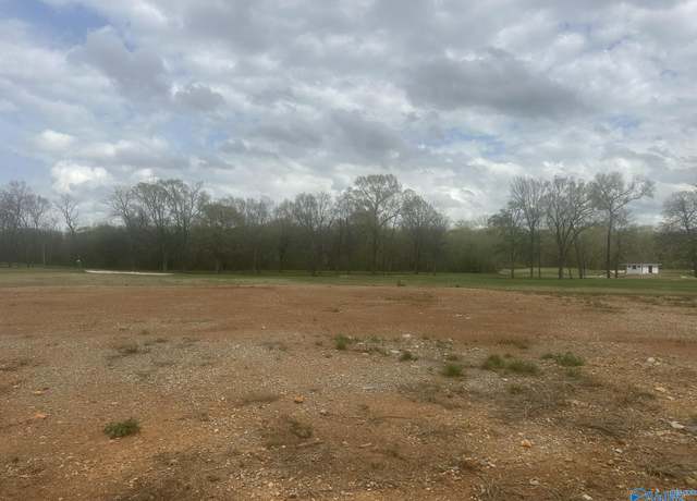 Property at 23259 Sawgrass Dr, Athens, AL 35613