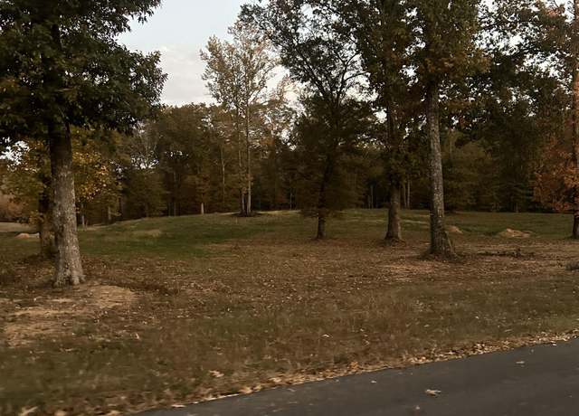 Property at 100 River Rd, Altoona, AL 35952