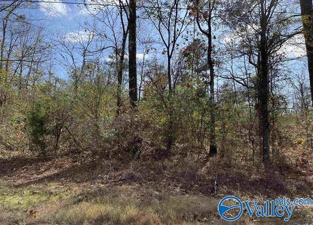 Property at Lot 3 County Road 166, Sand Rock, AL 35983