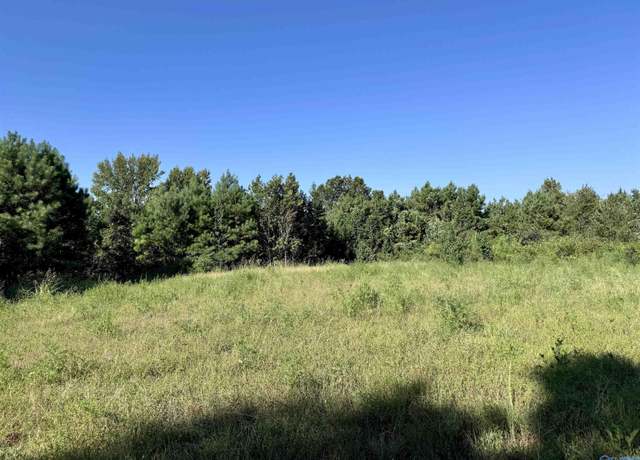 Property at 33+/- Acres County Road 1101, Vinemont, AL 35179