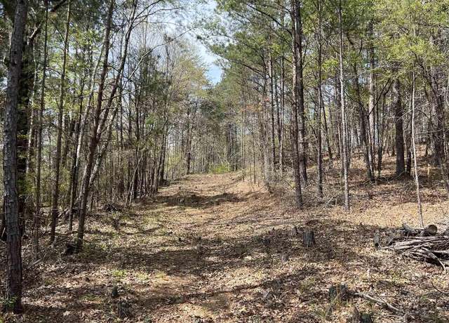 Property at 01 York Mountain Rd, Empire, AL 35063
