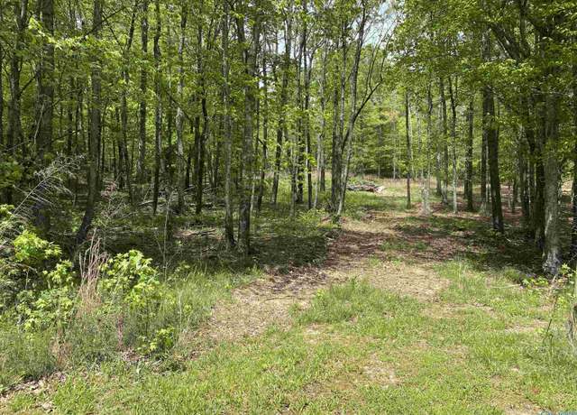 Property at 2521 SW Glenn Blvd, Fort Payne, AL 35968