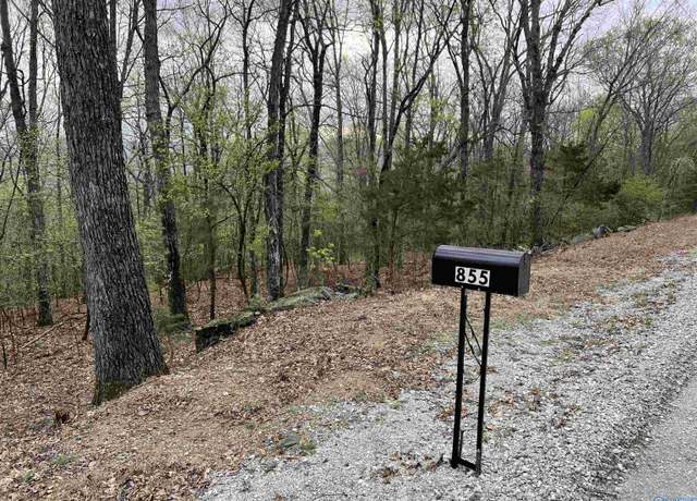 Property at 855 Lewis Mountain Rd, New Market, AL 35761