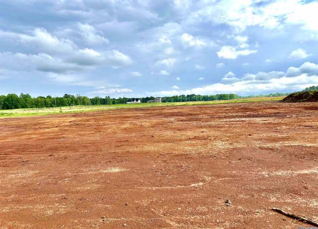 Property at Tract 19 Hays Mill Rd, Elkmont, AL 35620
