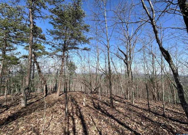 Property at 40 County Road 793, Centre, AL 35960