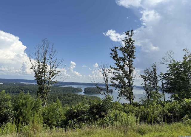 Property at LOT 47 Fall Creek Dr, Guntersville, AL 35976