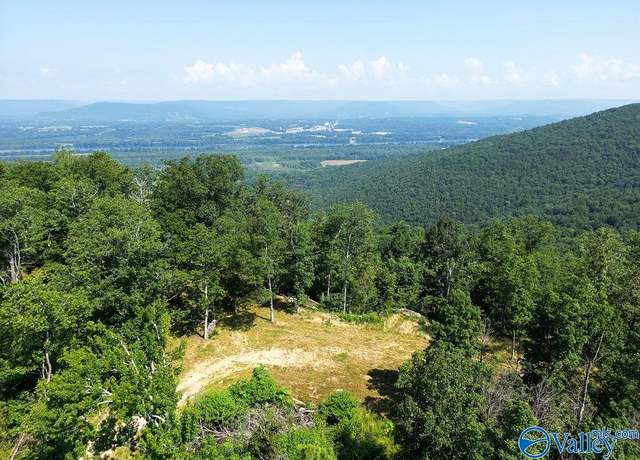 Property at 21.4 County Road 14, AL 35966