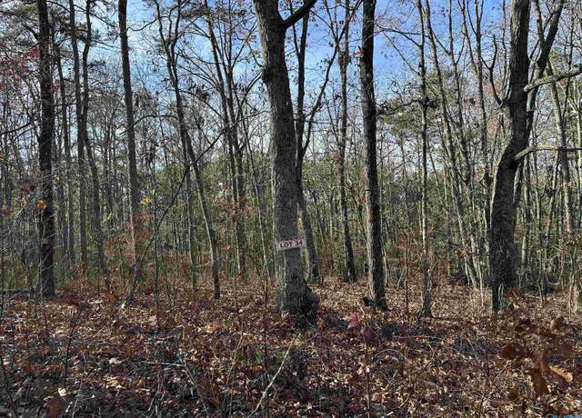 Property at Lot 34 Woodfern Dr, Scottsboro, AL 35768