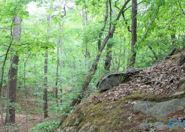 Property at Lot 11 Bear Creek Trl, Fort Payne, AL 35957
