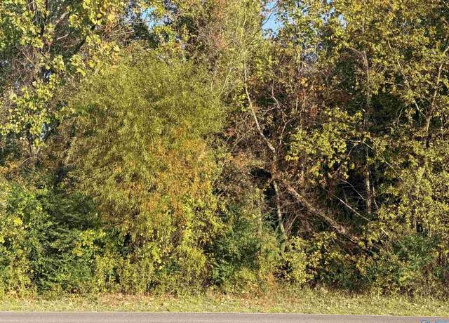 Property at Lot 1 & 2 E Central Ave, Decatur, AL 35603