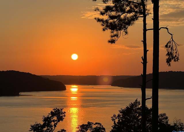 Property at LOT 65 Fall Creek Dr, Guntersville, AL 35976