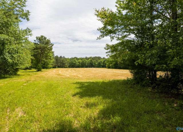 Property at 343 County Road 814, Flat Rock, AL 35966