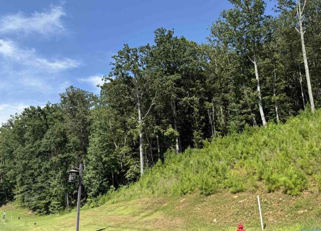Property at LOT 80 Boathouse Dr, Guntersville, AL 35976