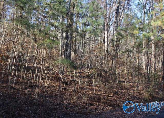 Property at 404 Tomahawk Cir, Guntersville, AL 35976