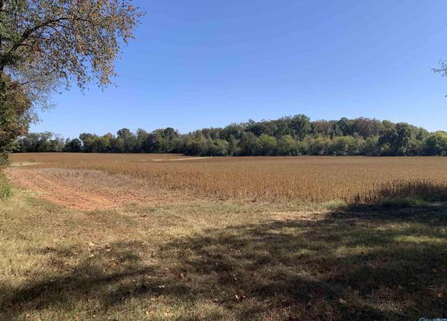 Property at 10 ACRES County Line Rd, Madison, AL 35756