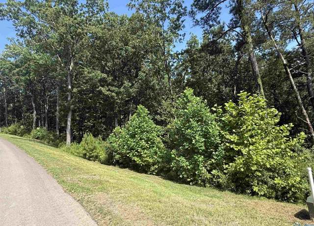 Property at LOT 115 Boathouse Dr, Guntersville, AL 35976