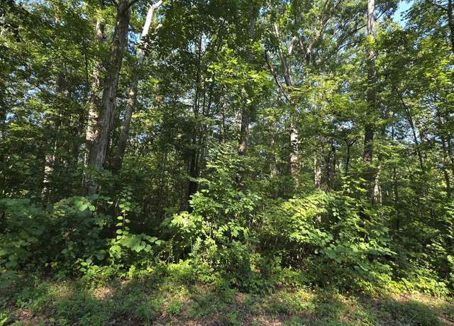 Property at Lot 37 County Road 249, Leesburg, AL 35983