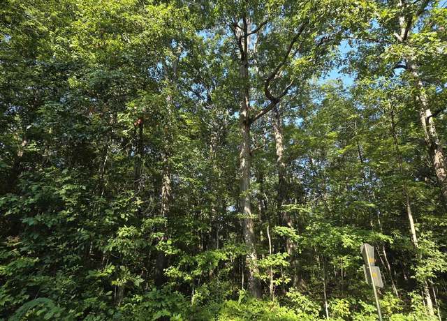 Property at Lot 36 County Road 249, Leesburg, AL 35983