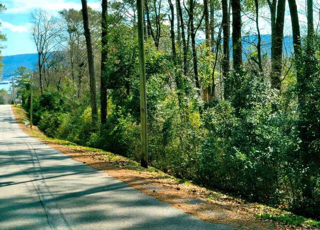 Property at 9 Richardson St, Guntersville, AL 35976