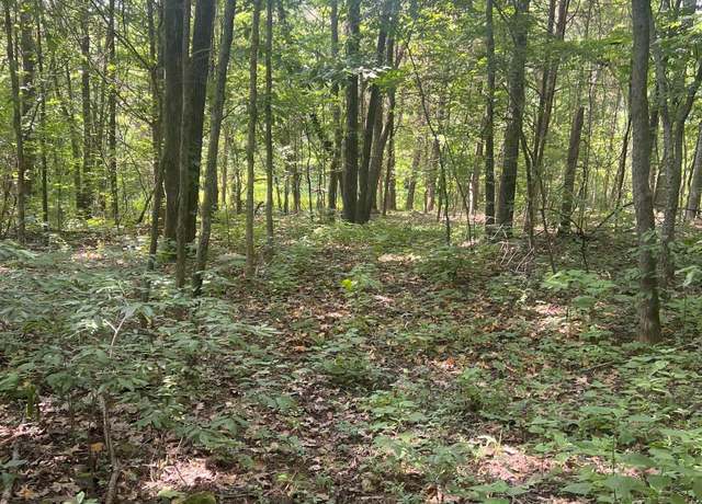Property at 1A Burwell Rd, Harvest, AL 35749