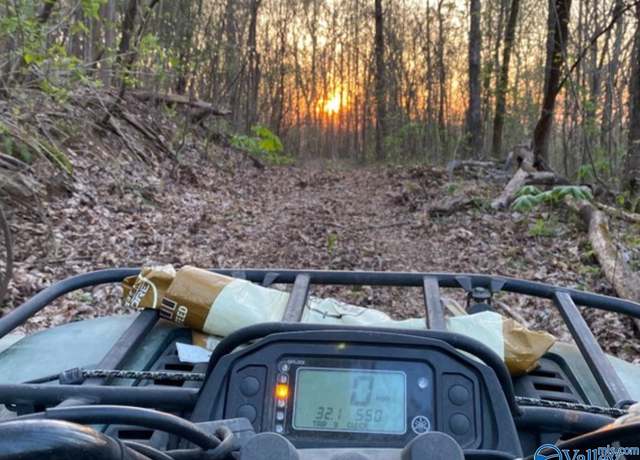 Property at 40 Acres County Road 414, Flat Rock, AL 35966
