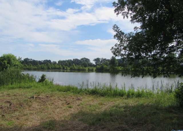 Property at Lot 12 County Road 487, Moulton, AL 35650