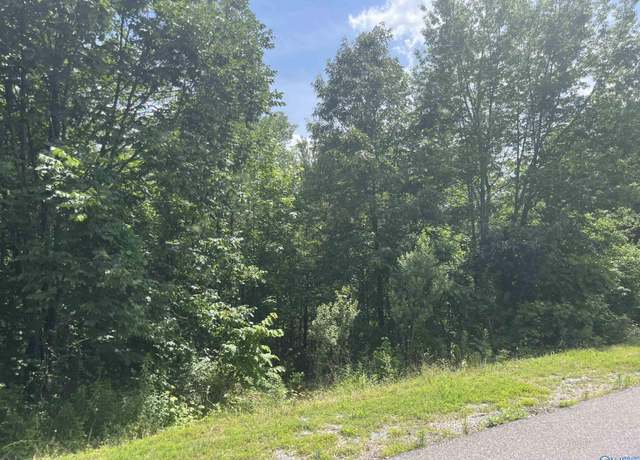 Property at Lot 1 Meadow Creek Rd, Glencoe, AL 35905