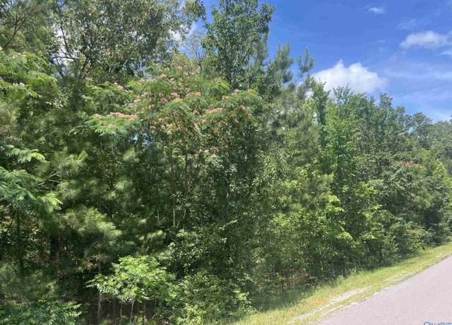 Property at Lot 2 Meadow Creek Rd, Glencoe, AL 35905