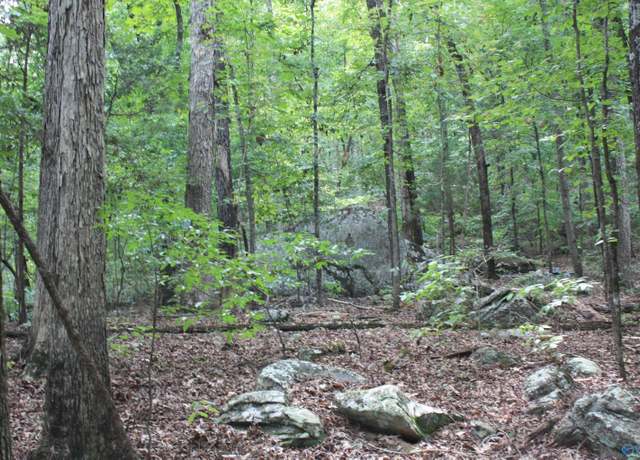 Property at A Walter Bird Dr, Owens Cross Roads, AL 35763
