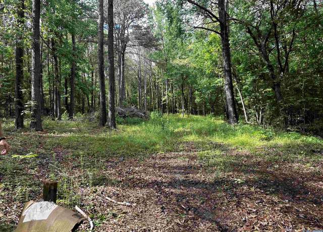 Property at 152 Robertson St, Altoona, AL 35952