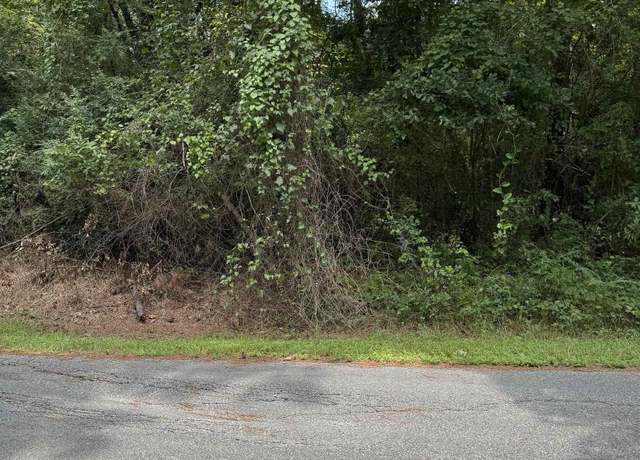 Property at LOT 31 Canal St, Childersburg, AL 35044