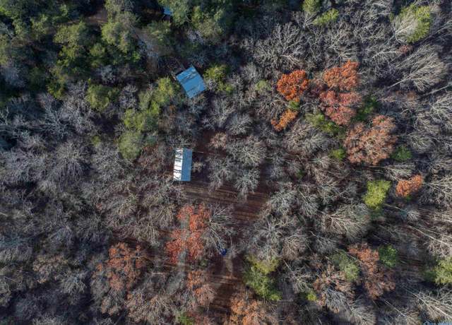 Property at 249 County Road 165, Mentone, AL 35984, 5 beds, 2 baths