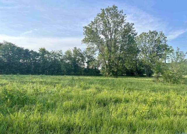 Property at 8148 Highway 431 Lot 1of2, Owens Cross Roads, AL 35763