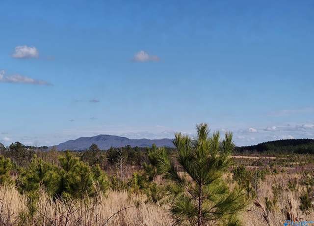 Property at 415 ACRES Beaird Rd, Gadsden, AL 35903