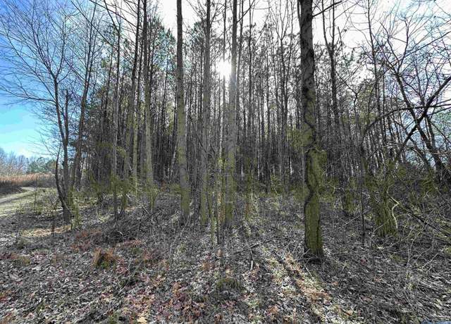 Property at 11acres Poplar Springs Rd, Albertville, AL 35951