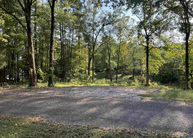 Property at Lots 122 & 123 River Dr, Hollywood, AL 35752