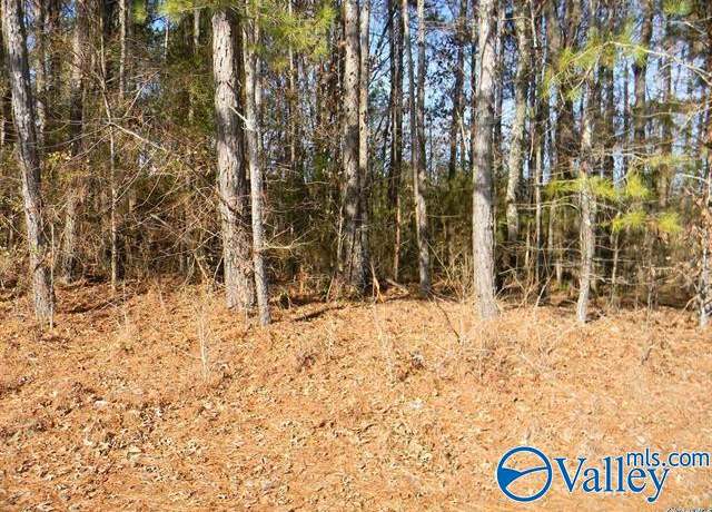 Property at Tract 1 County Road 41, Gaylesville, AL 35983