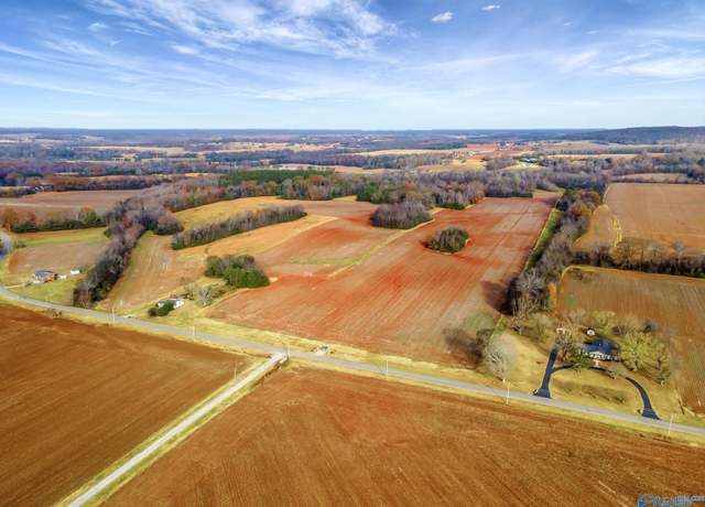 Property at 819 & 0 Hurricane Rd, New Market, AL 35761