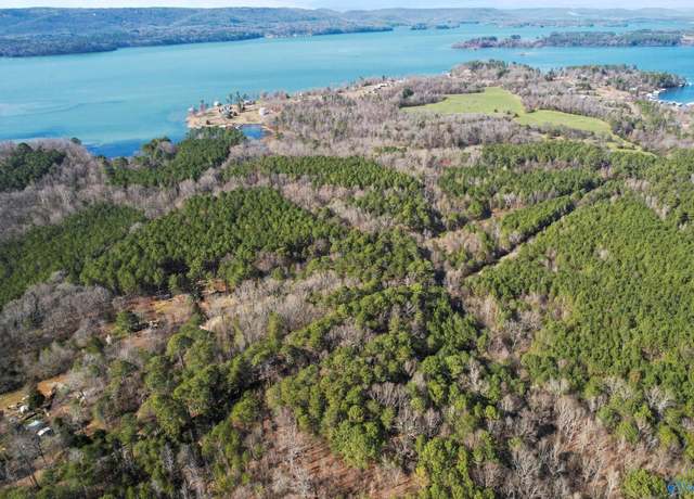 Property at 20 Acres Murphy Hill Rd, Langston, AL 35755