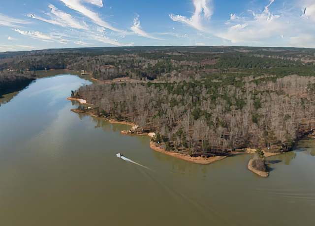 Property at 41 acres Big Bear Branch Rd, Double Springs, AL 35553