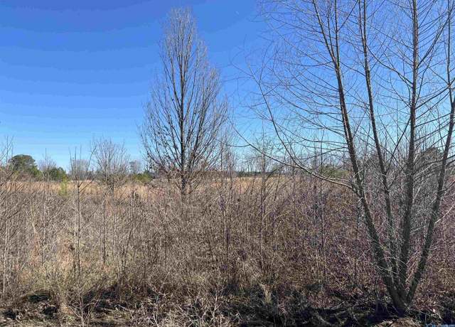 Property at Lot 13 County Road 487, Moulton, AL 35650
