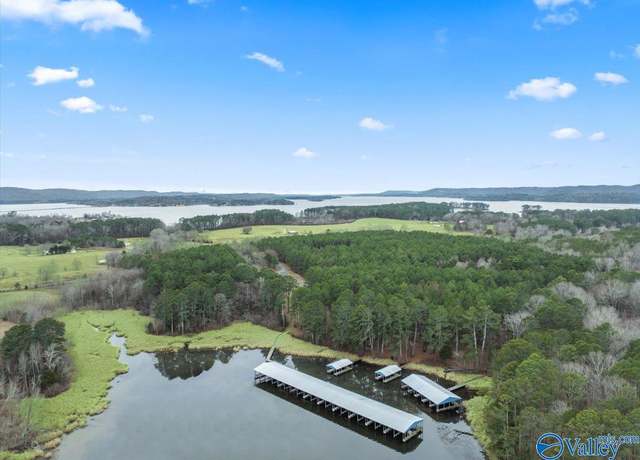 Property at 350 John Cabaniss Rd, Langston, AL 35755