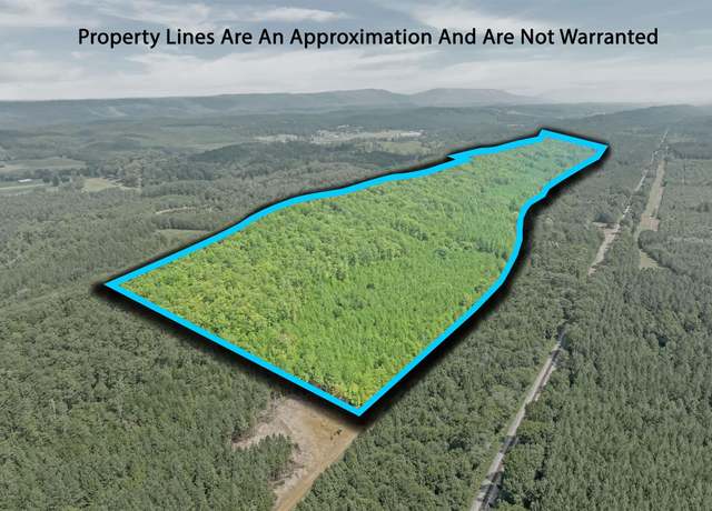 Property at 13 County Road 759, Valley Head, AL 35989