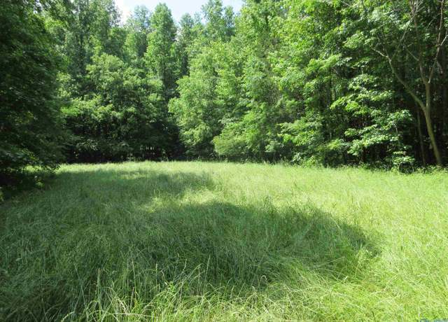 Property at 200 County Road 119, Limrock, AL 35776