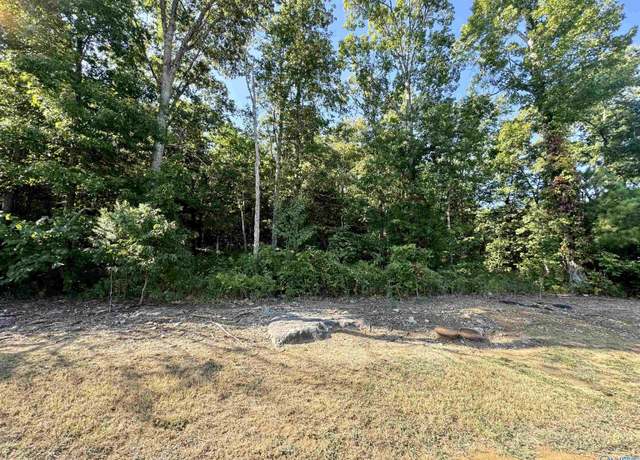 Property at 12 Selma St SW, Decatur, AL 35603