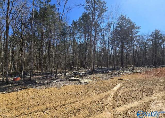 Property at 162 Parnell Cir, Woodville, AL 35776