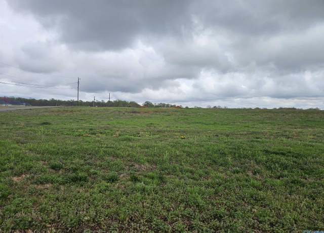 Property at Lot 1 Elkwood Section Rd, Hazel Green, AL 35750